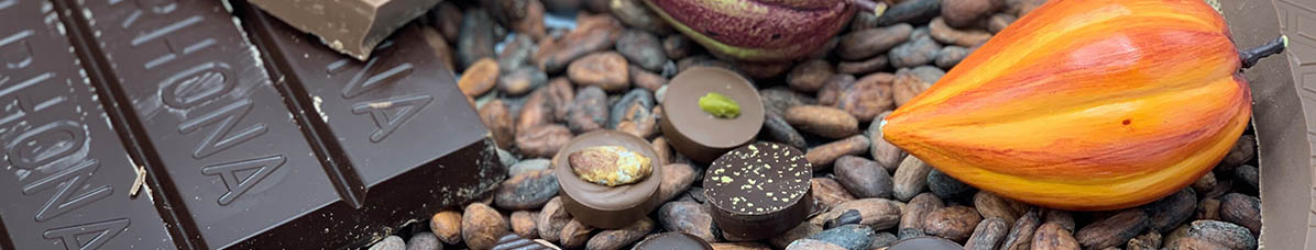 fève cacao